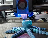 Octopus